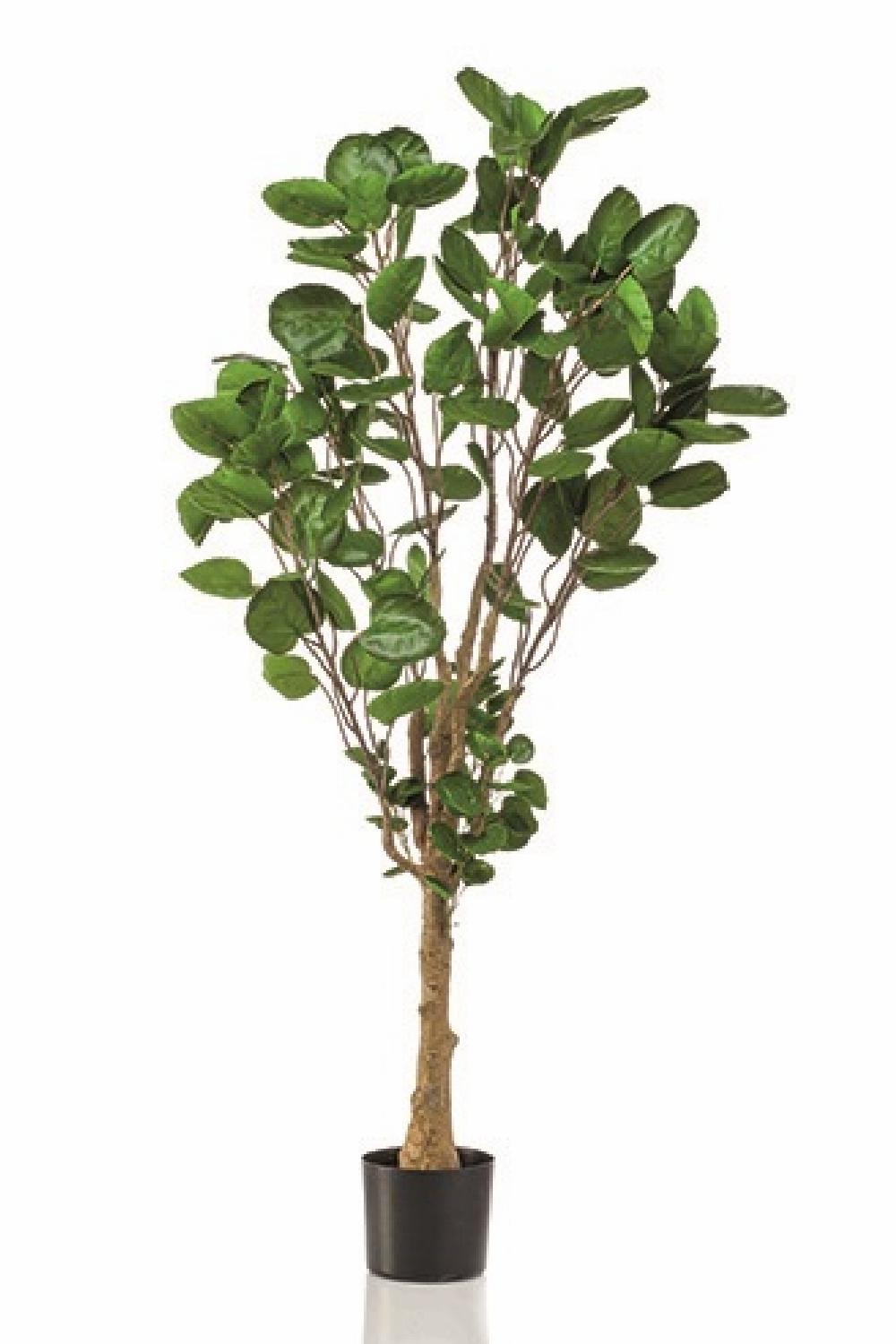 Home Decor | Artificial Dicot Dwarf Tree Home Decor Home Decor